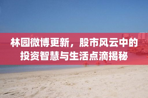 林园微博更新，股市风云中的投资智慧与生活点滴揭秘