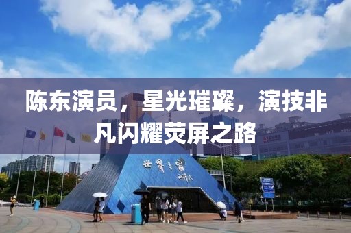 陈东演员，星光璀璨，演技非凡闪耀荧屏之路