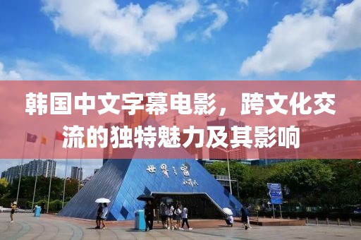 韩国中文字幕电影，跨文化交流的独特魅力及其影响