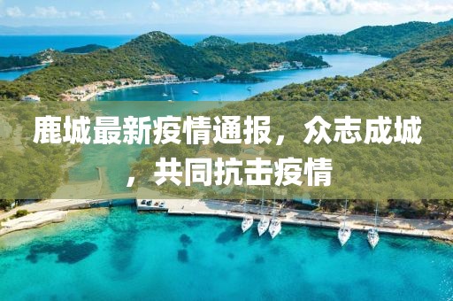 在森林 第8页