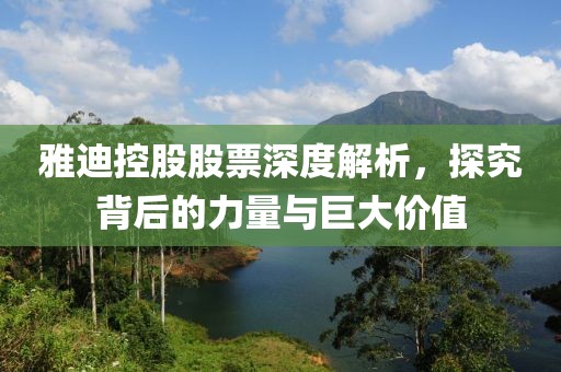 雅迪控股股票深度解析，探究背后的力量与巨大价值