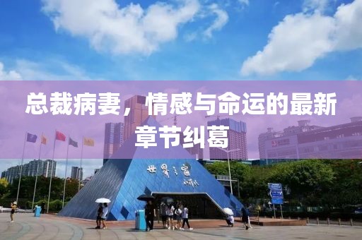 总裁病妻，情感与命运的最新章节纠葛