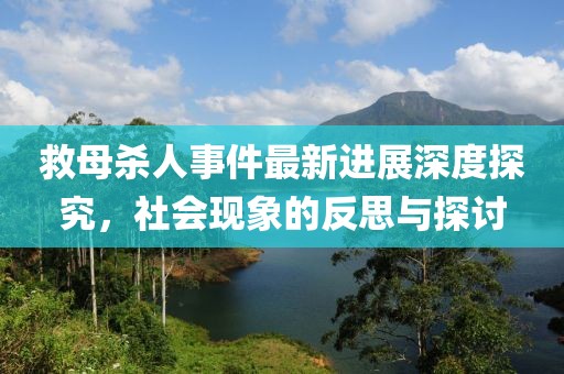 救母杀人事件最新进展深度探究，社会现象的反思与探讨