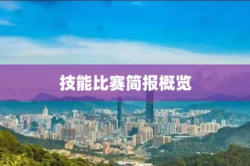 技能比赛简报概览