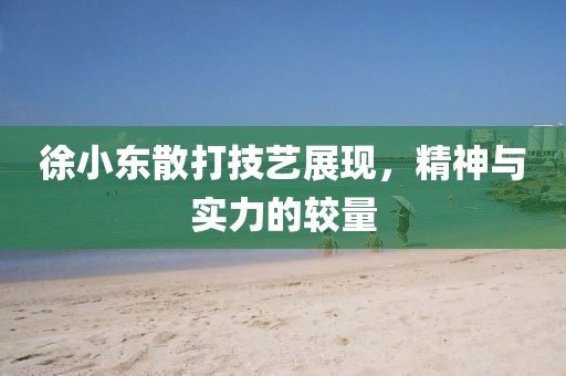 徐小东散打技艺展现，精神与实力的较量
