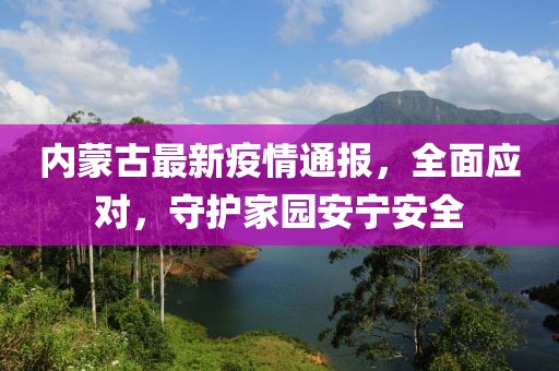 内蒙古最新疫情通报，全面应对，守护家园安宁安全