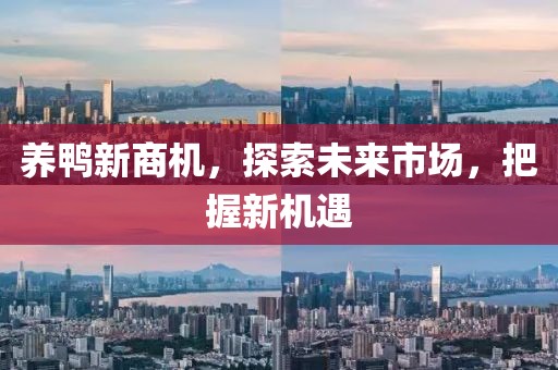 养鸭新商机，探索未来市场，把握新机遇