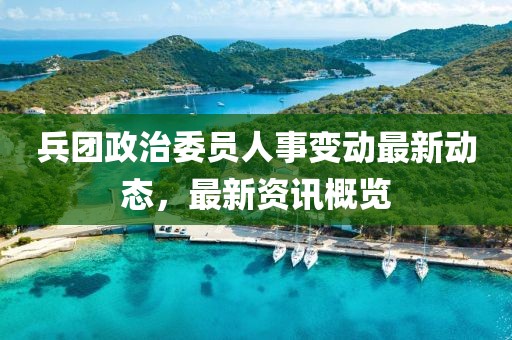 兵团政治委员人事变动最新动态，最新资讯概览