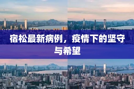宿松最新病例，疫情下的坚守与希望