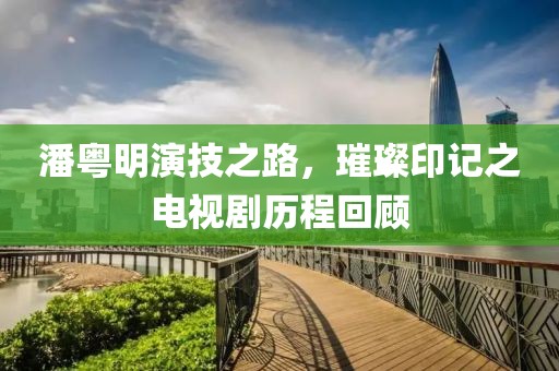 潘粤明演技之路，璀璨印记之电视剧历程回顾