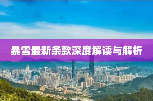 暴雪最新条款深度解读与解析