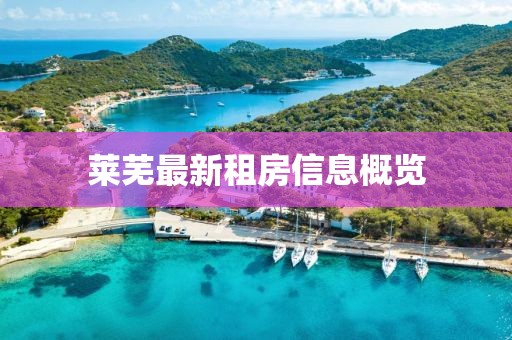 莱芜最新租房信息概览