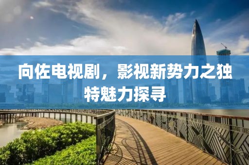 向佐电视剧，影视新势力之独特魅力探寻