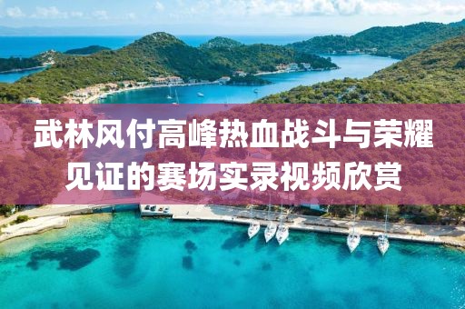 武林风付高峰热血战斗与荣耀见证的赛场实录视频欣赏