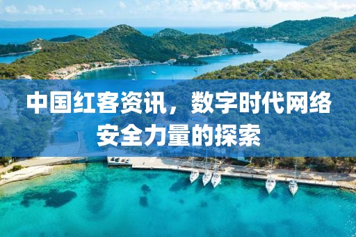 中国红客资讯，数字时代网络安全力量的探索
