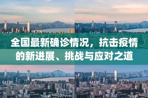 全国最新确诊情况，抗击疫情的新进展、挑战与应对之道