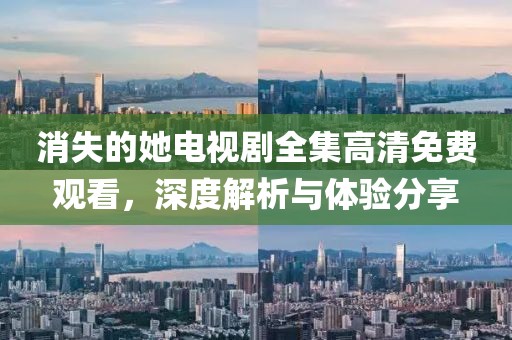 消失的她电视剧全集高清免费观看，深度解析与体验分享