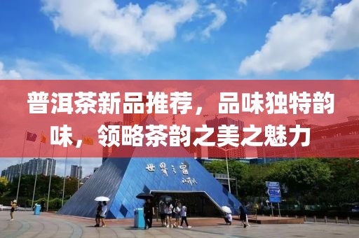普洱茶新品推荐，品味独特韵味，领略茶韵之美之魅力