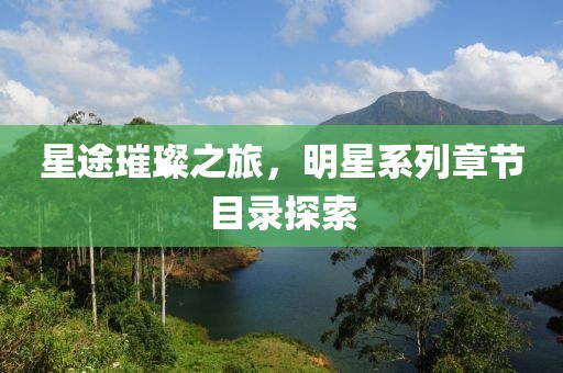 星途璀璨之旅，明星系列章节目录探索