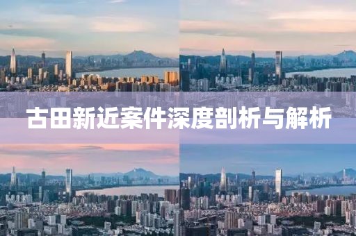 古田新近案件深度剖析与解析