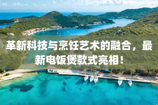 革新科技与烹饪艺术的融合，最新电饭煲款式亮相！