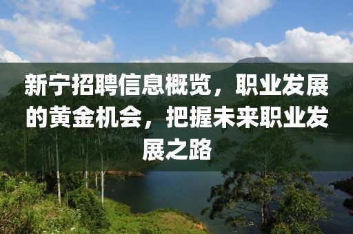 新宁招聘信息概览，职业发展的黄金机会，把握未来职业发展之路