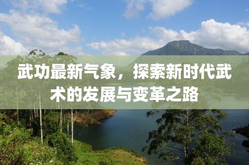 武功最新气象，探索新时代武术的发展与变革之路