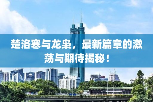 楚洛寒与龙枭，最新篇章的激荡与期待揭秘！