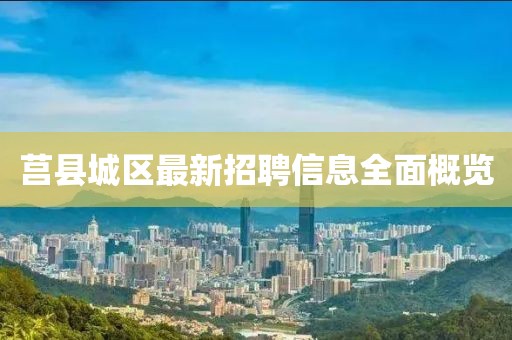莒县城区最新招聘信息全面概览