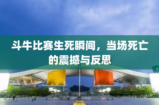 斗牛比赛生死瞬间，当场死亡的震撼与反思