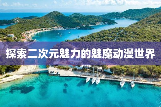 探索二次元魅力的魅魔动漫世界