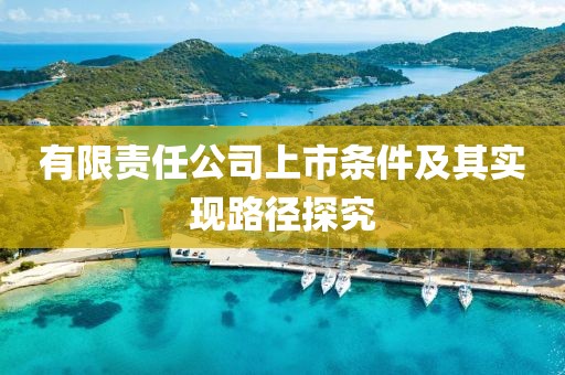 有限责任公司上市条件及其实现路径探究