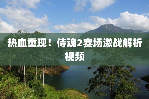 热血重现！侍魂2赛场激战解析视频