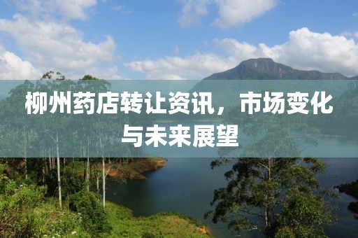 柳州药店转让资讯，市场变化与未来展望