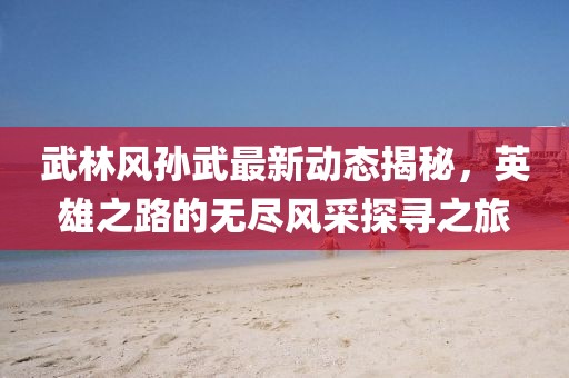 武林风孙武最新动态揭秘，英雄之路的无尽风采探寻之旅