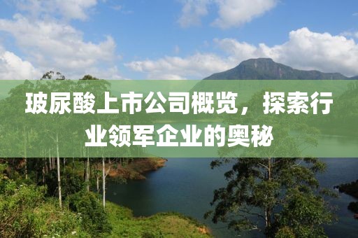 玻尿酸上市公司概览，探索行业领军企业的奥秘
