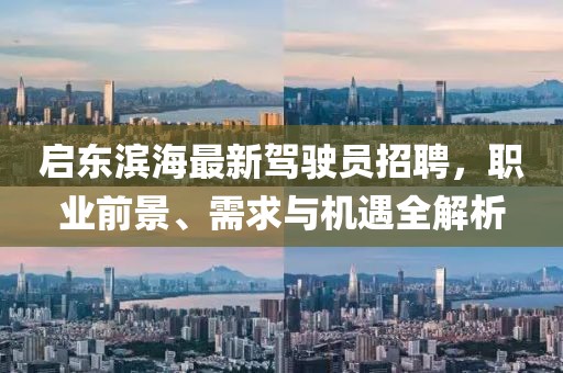 启东滨海最新驾驶员招聘，职业前景、需求与机遇全解析