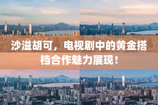 沙溢胡可，电视剧中的黄金搭档合作魅力展现！