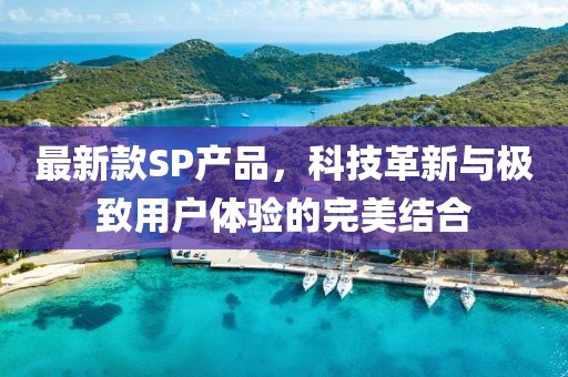 最新款SP产品，科技革新与极致用户体验的完美结合