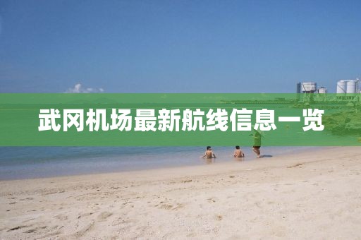 武冈机场最新航线信息一览