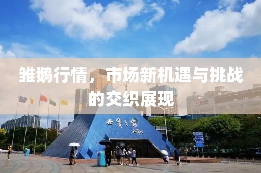 雏鹅行情，市场新机遇与挑战的交织展现