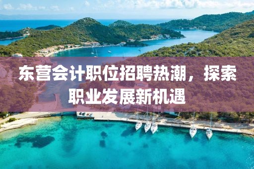 东营会计职位招聘热潮，探索职业发展新机遇