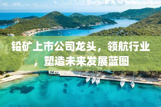 铅矿上市公司龙头，领航行业，塑造未来发展蓝图