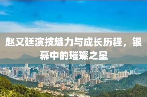 赵又廷演技魅力与成长历程，银幕中的璀璨之星