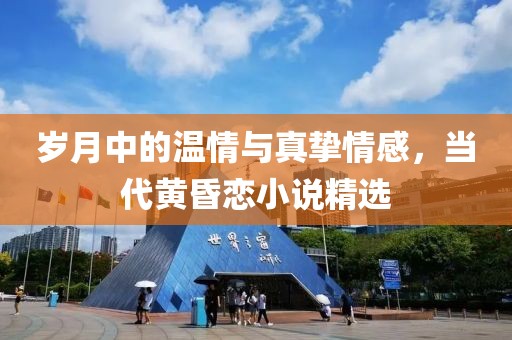 岁月中的温情与真挚情感，当代黄昏恋小说精选