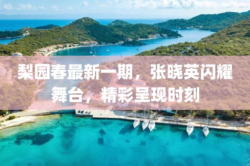 梨园春最新一期，张晓英闪耀舞台，精彩呈现时刻