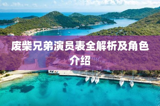 废柴兄弟演员表全解析及角色介绍