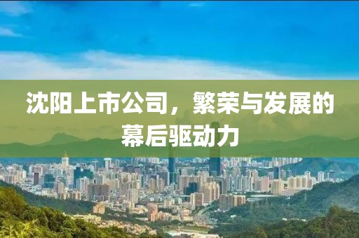 沈阳上市公司，繁荣与发展的幕后驱动力