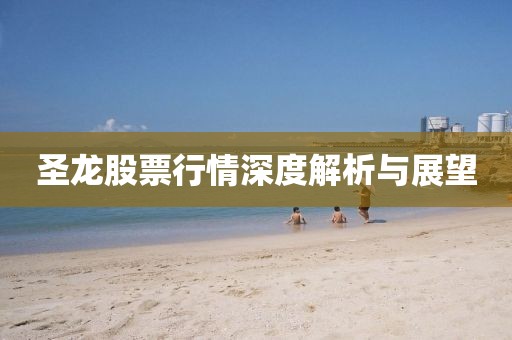 圣龙股票行情深度解析与展望