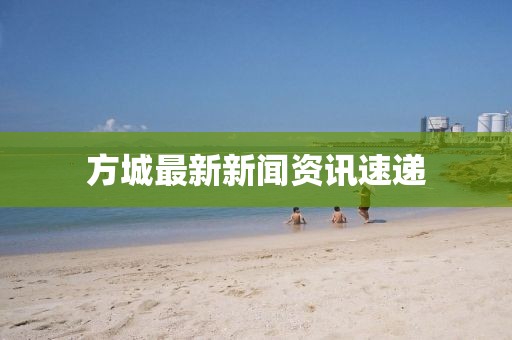 安守 第30页
